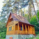 Za Dubem Vselibice