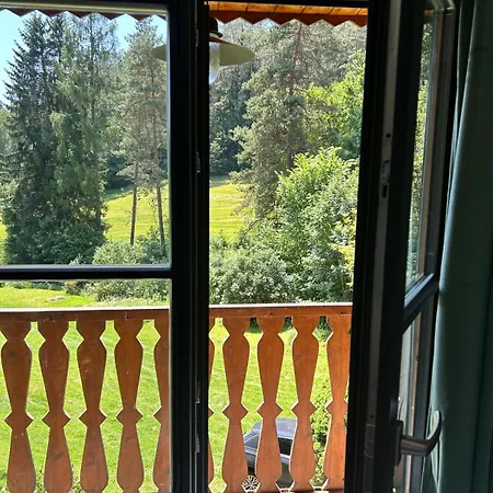 Za Dubem Vselibice