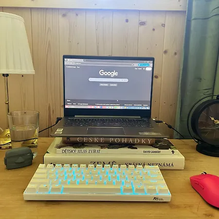 Za Dubem Vselibice
