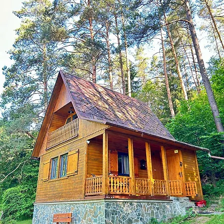 Za Dubem Vselibice
