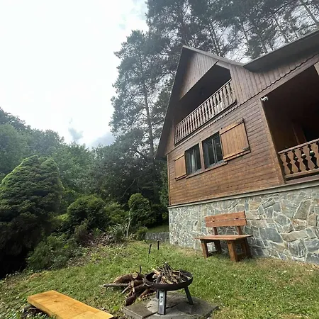Chalet Za Dubem *