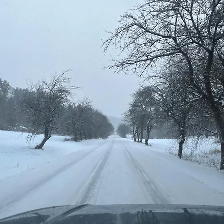 Za Dubem シャレー *